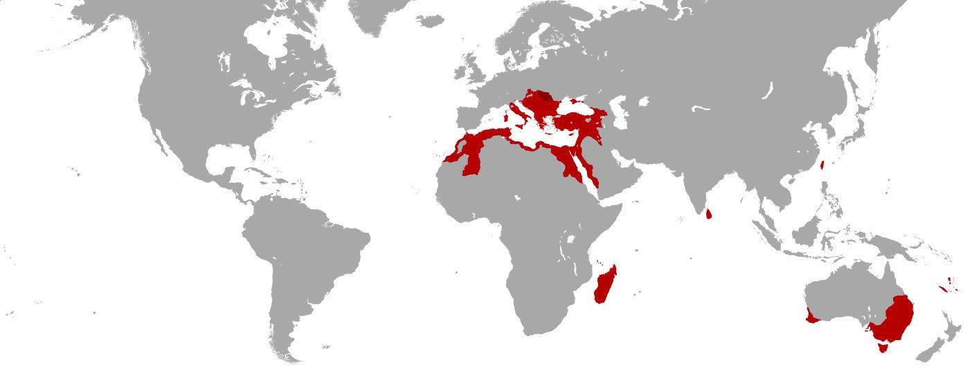 romanempire-empire-1786.jpg